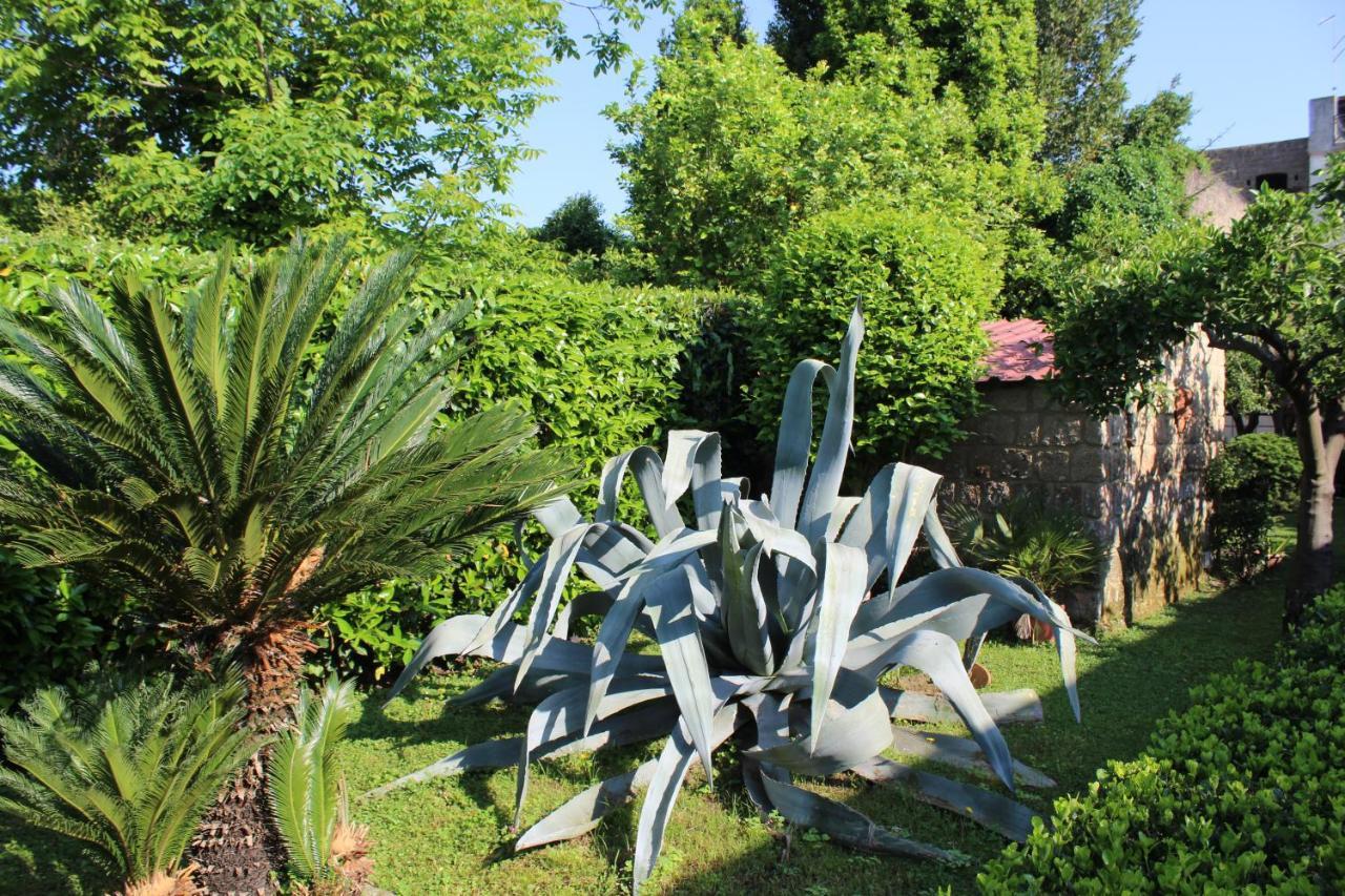 Il Giardino Degli Agrumi Καζέρτα Εξωτερικό φωτογραφία