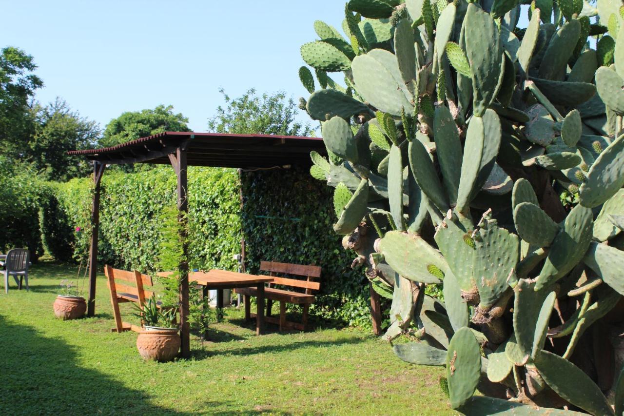 Il Giardino Degli Agrumi Καζέρτα Εξωτερικό φωτογραφία