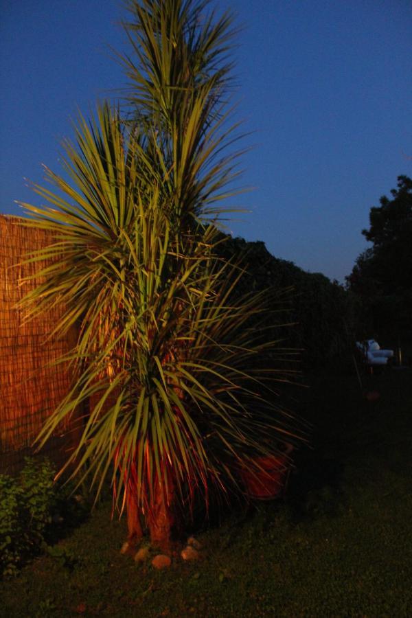 Il Giardino Degli Agrumi Καζέρτα Εξωτερικό φωτογραφία