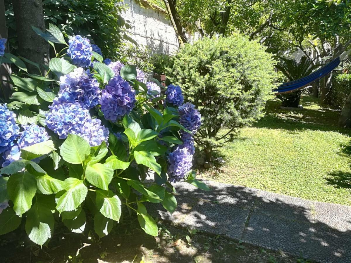 Il Giardino Degli Agrumi Καζέρτα Εξωτερικό φωτογραφία