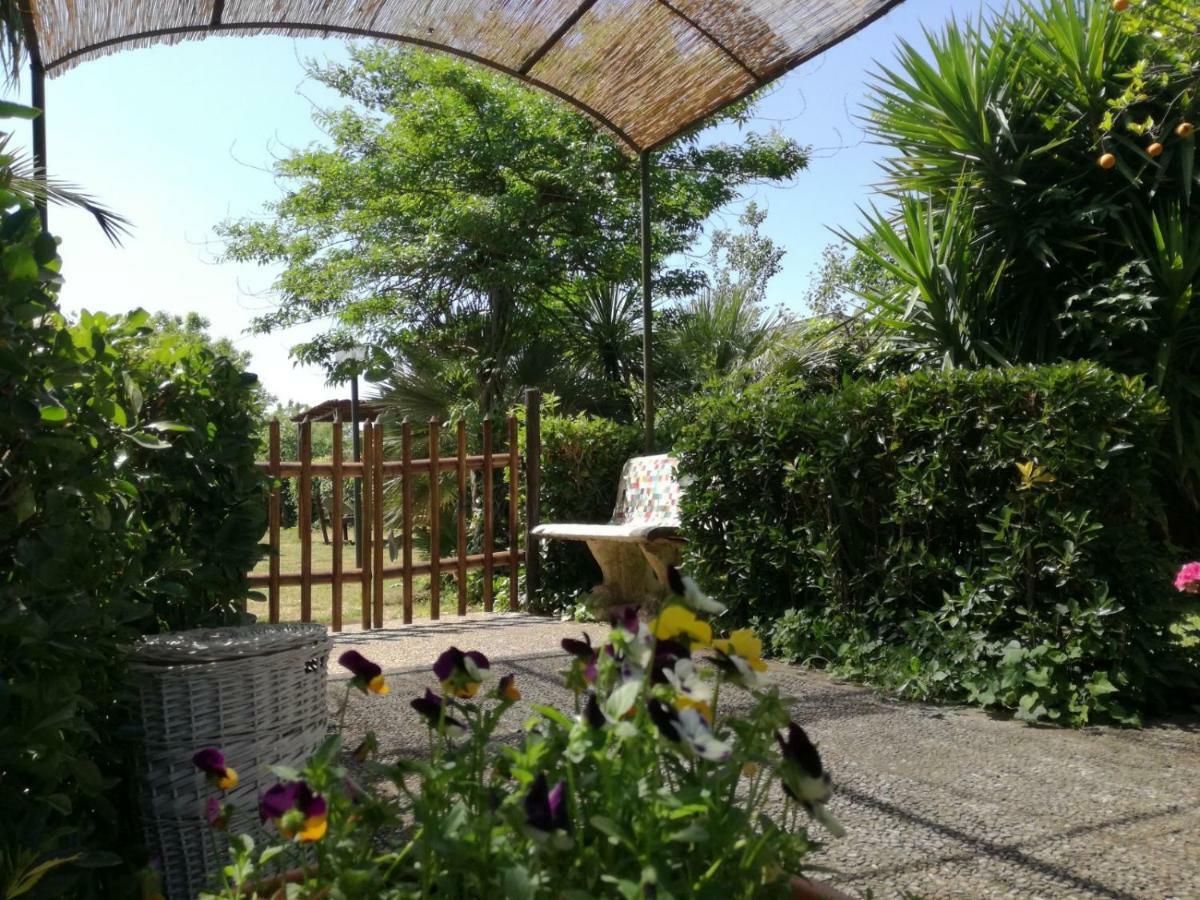 Il Giardino Degli Agrumi Καζέρτα Εξωτερικό φωτογραφία